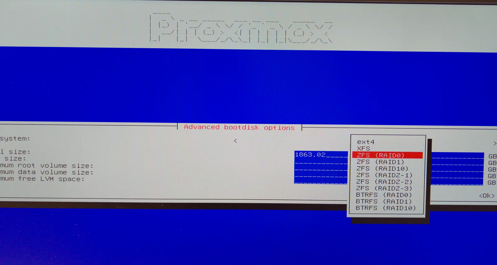 The list of file systems in the installer: ext4, XFS, the ZFS levels and BTRFS, with ZFS (RAID0) selected