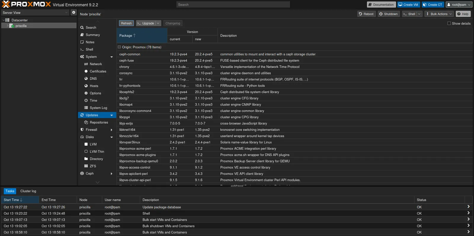 The Updates page listing packages with their current and new versions
